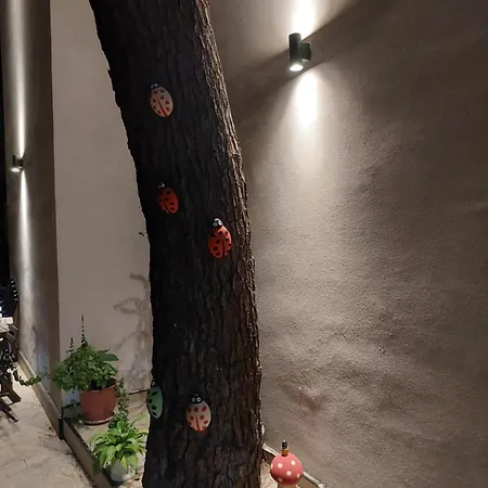 Semesterbostad Nio Planet Golem, Durres Golem (Tirana)